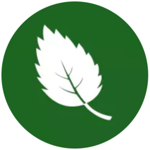 certificaciones iso de medio ambiente