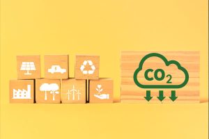la-importancia-de-certificarse-en-la-iso-14001