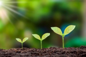 ¿Cómo implementar un plan de gestión ambiental en tu empresa?
