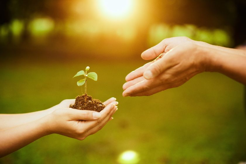 Principios del ecodiseño