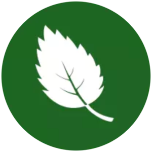 certificaciones iso de medio ambiente